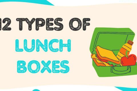 Types Of Lunch Boxes