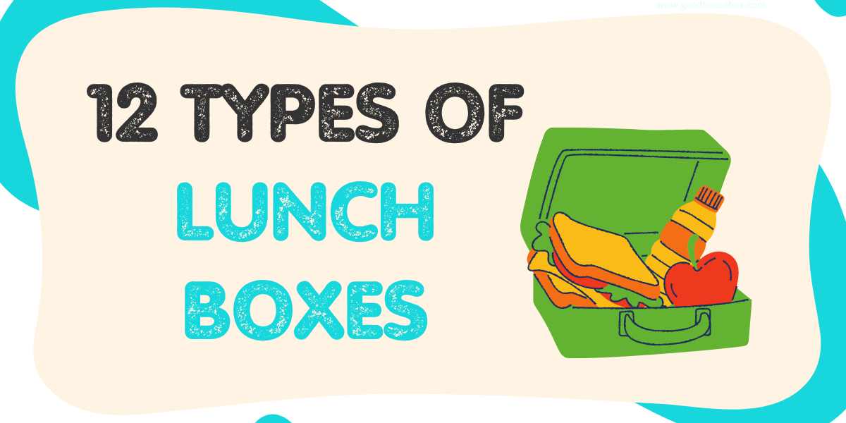 Types Of Lunch Boxes