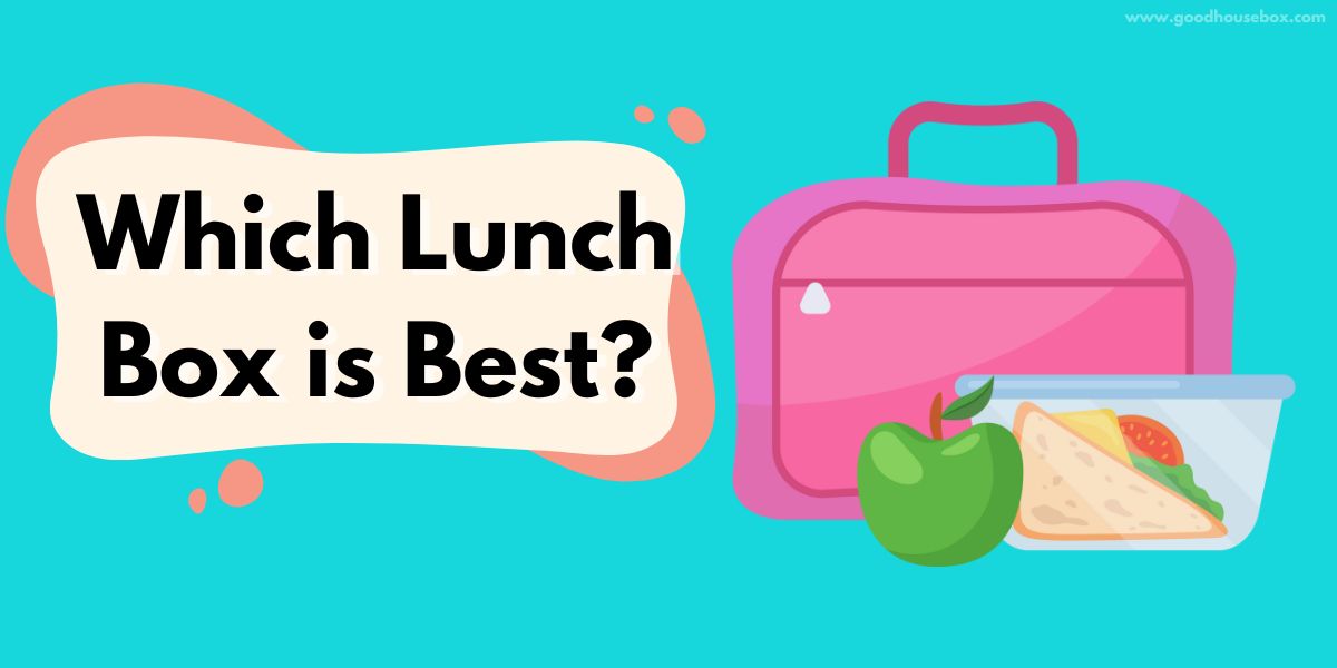 Which Lunch Box is Best