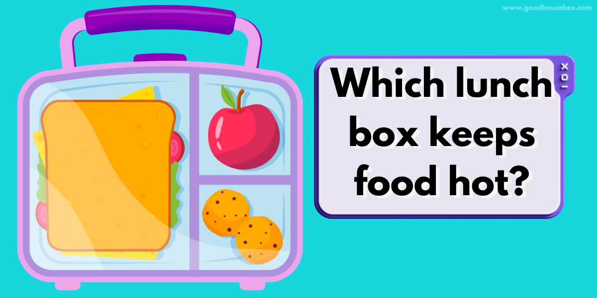 which lunch box keeps food hot