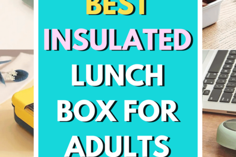 Best Insulated Lunch Box for Adults