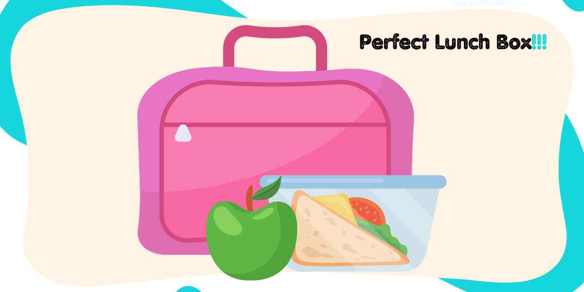 Why Should We Choose the Perfect Lunch Box