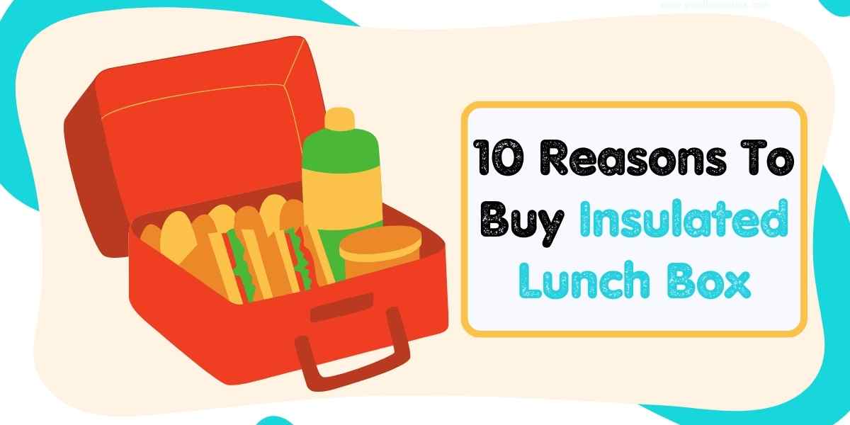 Top 10 Reasons to Buy an Insulated Lunch Box