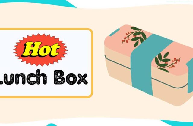 Best Hot Lunch Box for Office in India