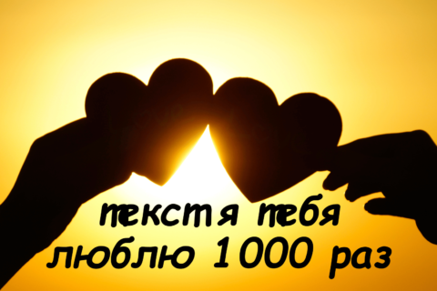 текст я тебя люблю 1000 раз